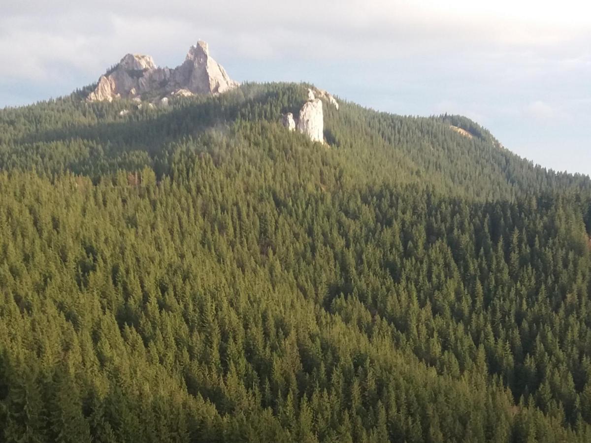 Casa Moldovita Kültér fotó