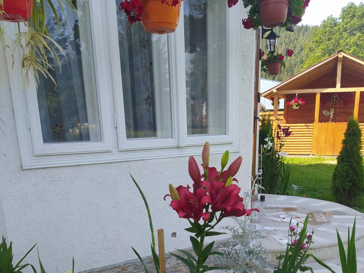 Casa Moldovita Kültér fotó