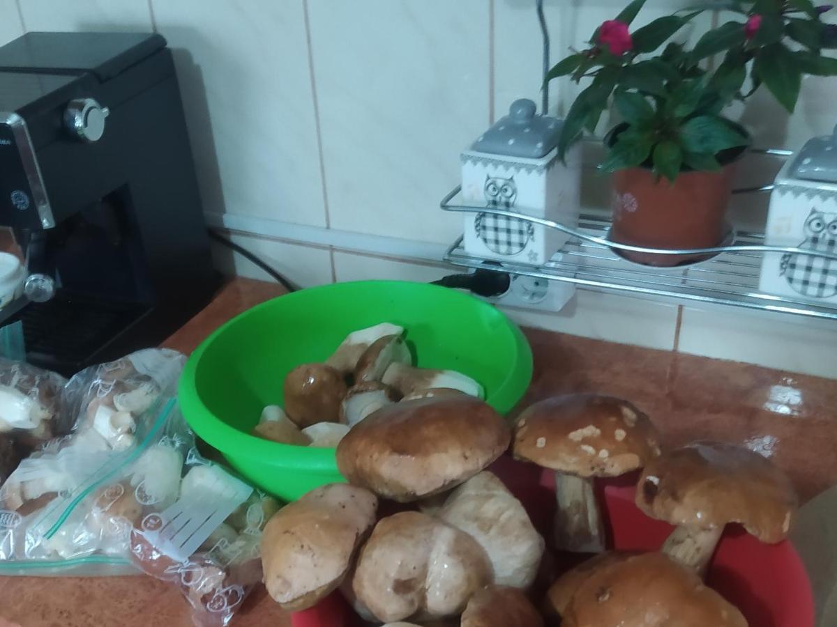 Casa Moldovita Kültér fotó